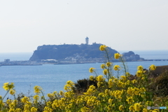 春の江ノ島