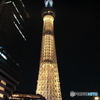 金メダルの夜 (標準ズーム)