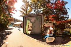 気の早いクリスマス