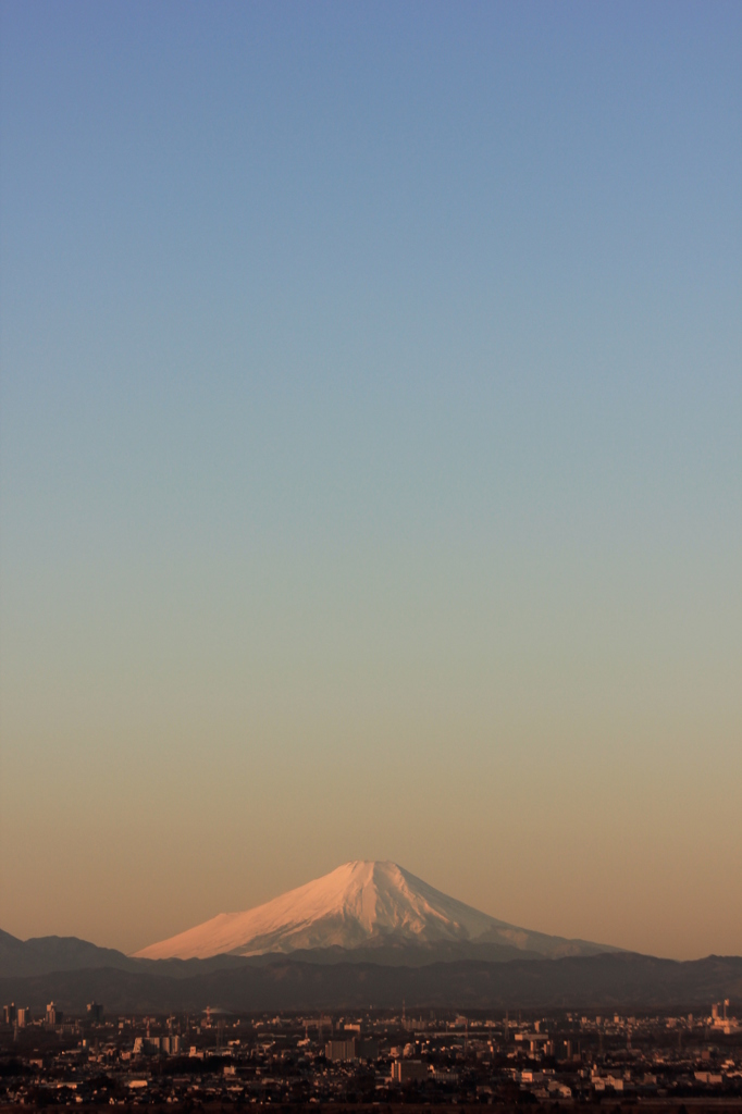 朝日を浴びて
