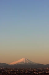 朝日を浴びて