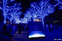 青の洞窟2024 in SHIBUYA #1