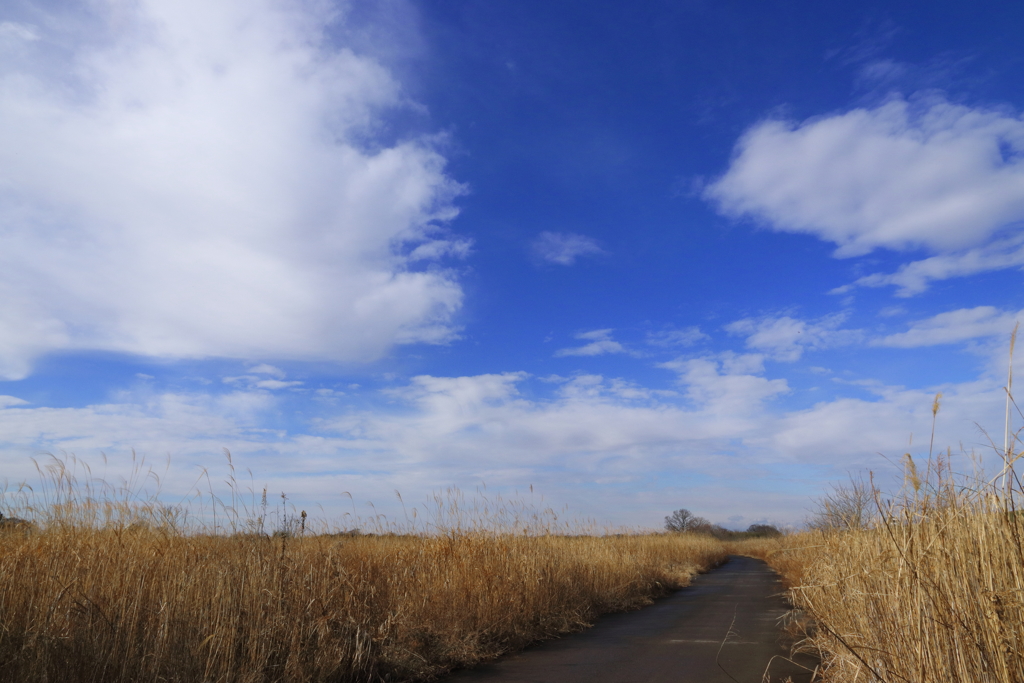 雨上がりの空