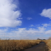 雨上がりの空