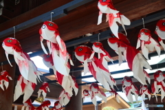 風に泳ぐ金魚