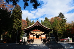 諏訪大社　下社秋宮