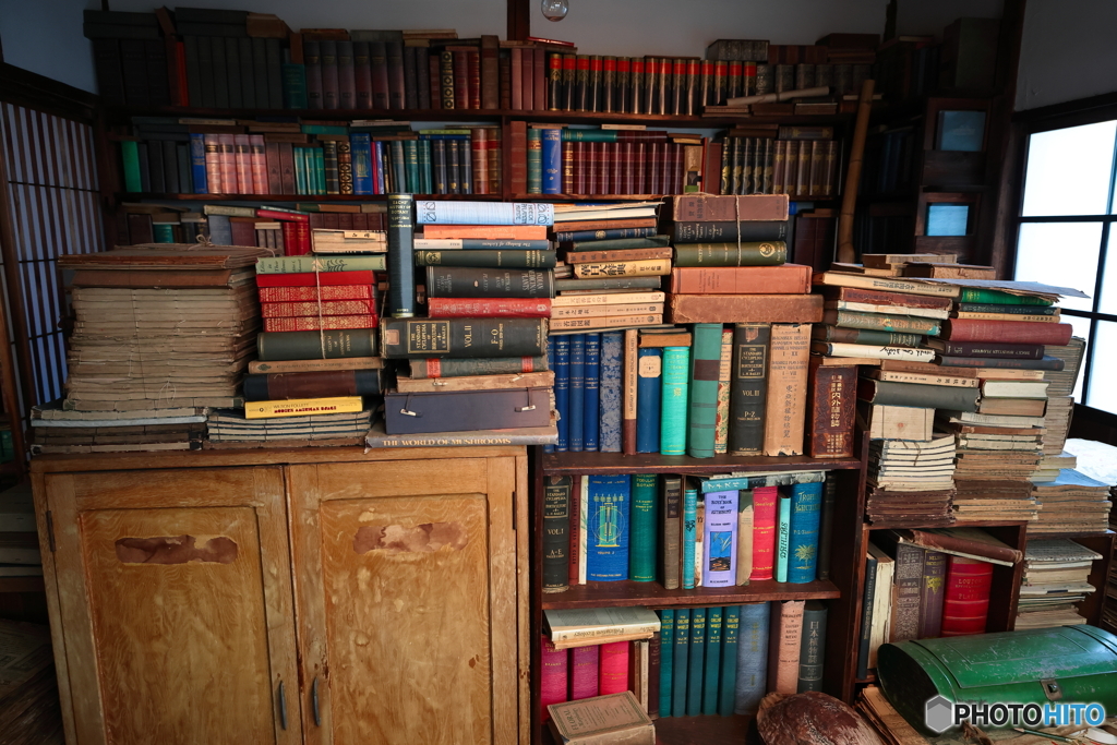繇條書屋