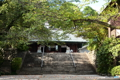 飛行機の神社