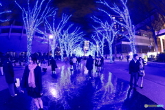 青の洞窟2025 in SHIBUYA #5