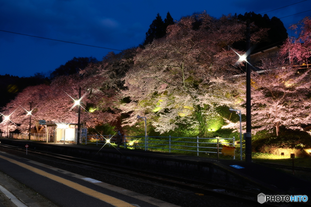 春宵の駅