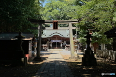 雀神社