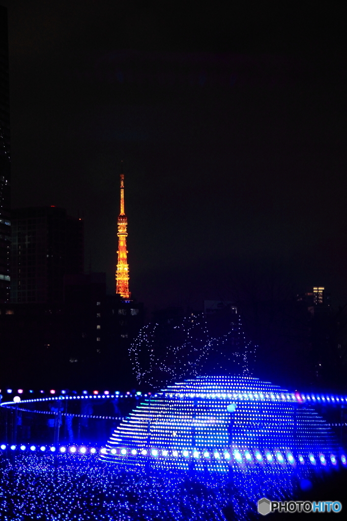 東京の夜
