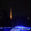 東京の夜