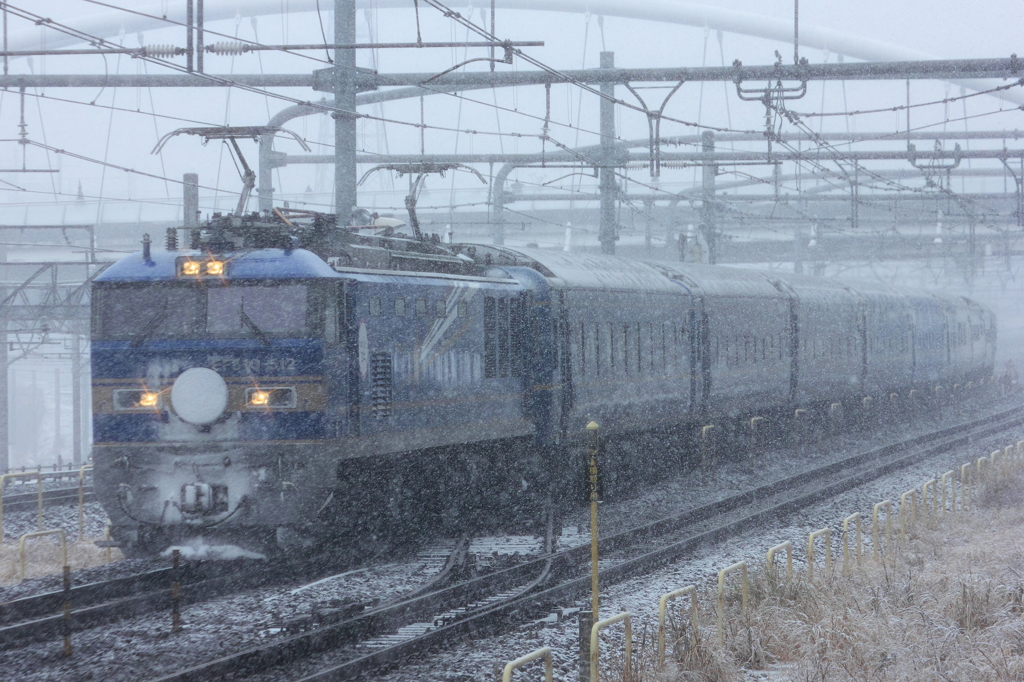 雪の中をゆく