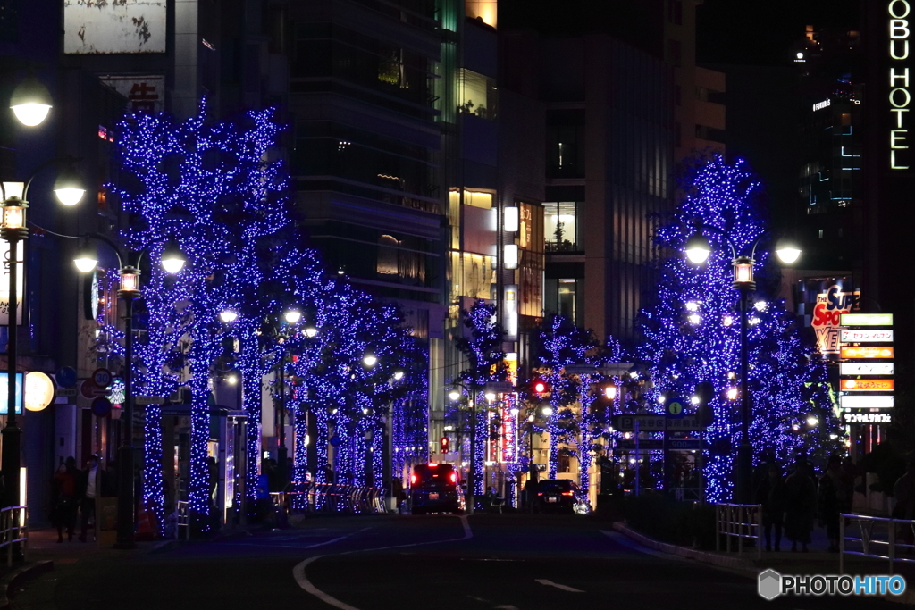 青の洞窟2019 in SHIBUYA #6