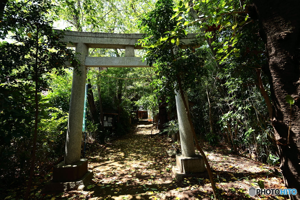頼政神社