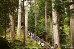 日光東照宮・奥院への道