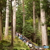 日光東照宮・奥院への道
