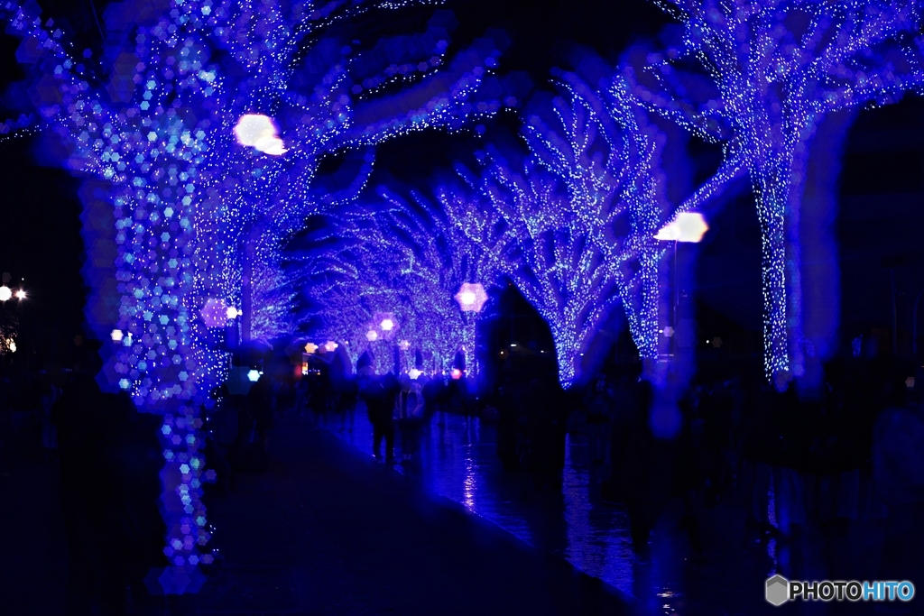 青の洞窟2025 in SHIBUYA #2