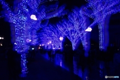 青の洞窟2025 in SHIBUYA #2