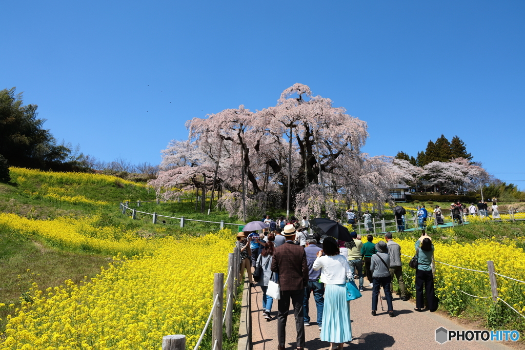 賑わう月曜日