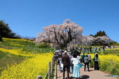 賑わう月曜日