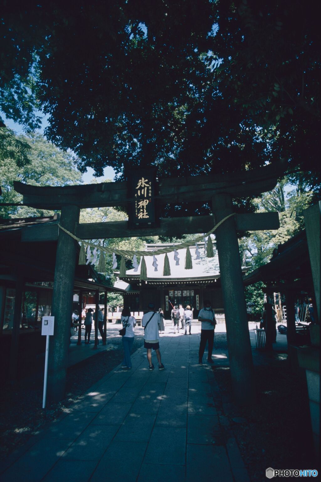 木陰の鳥居