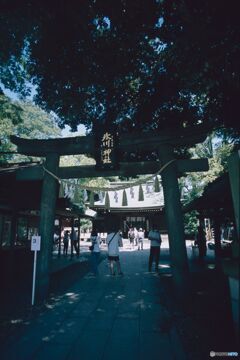 木陰の鳥居