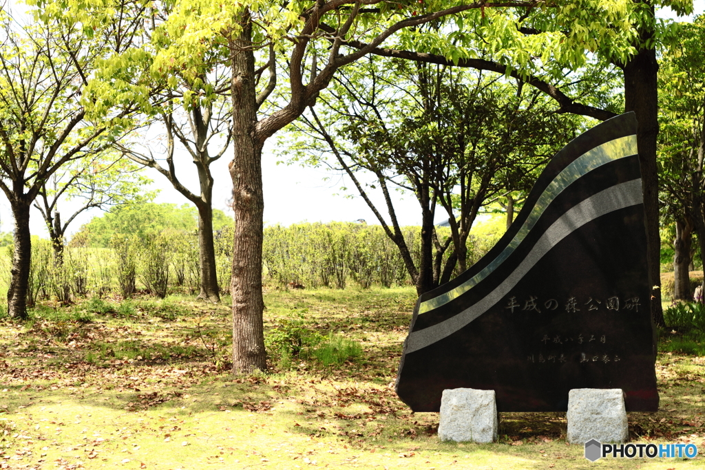 平成の森公園