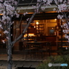 サクラと古カフェ