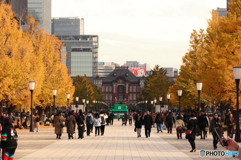 TOKYO STASION in AUTUMN 