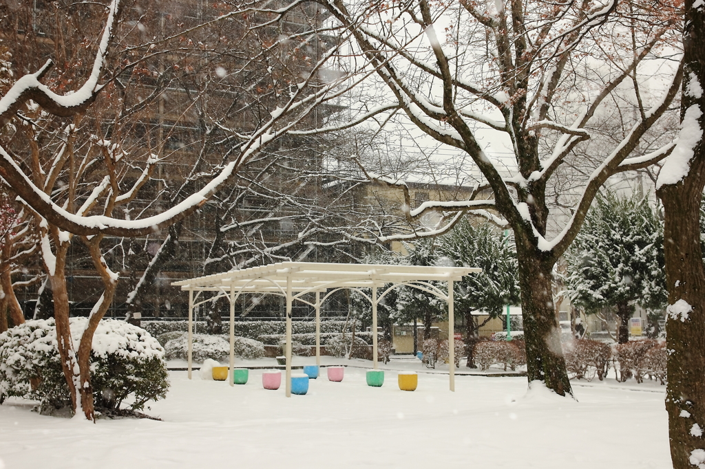 雪の日の公園