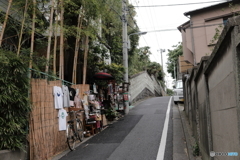 谷中の名もなき坂道