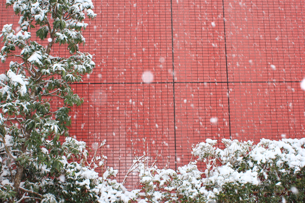 雪の降る街