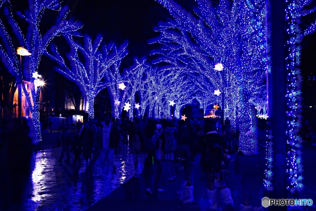 青の洞窟2025 in SHIBUYA #3