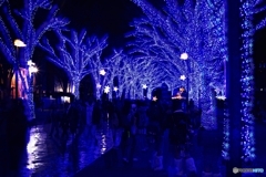 青の洞窟2025 in SHIBUYA #3