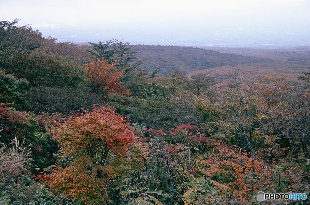 霧の那須高原