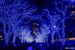 青の洞窟2024 in SHIBUYA #8