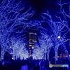 青の洞窟2024 in SHIBUYA #8