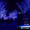 青の洞窟2019 in SHIBUYA #1