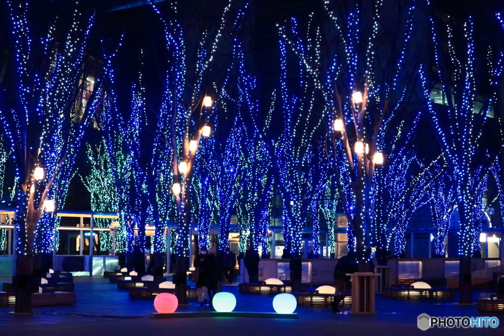 風前の灯？
