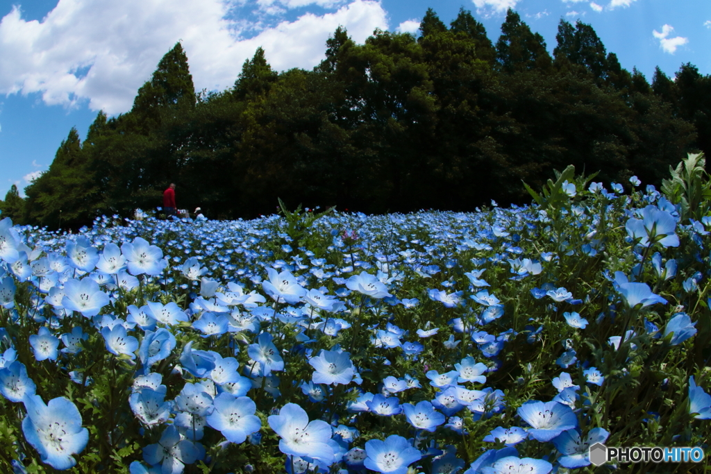 800mmとFISHEYE（FISHEYE）
