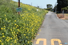 三県境への道　その２