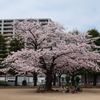 変わらないもの'22