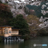 雨の湖畔