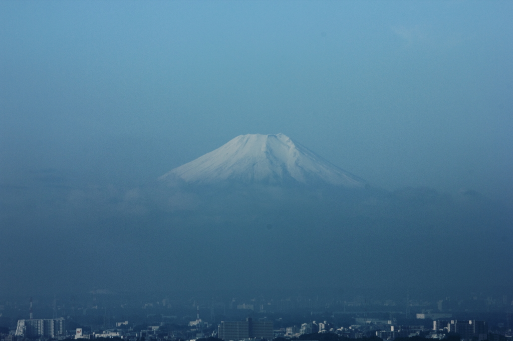 初冠雪