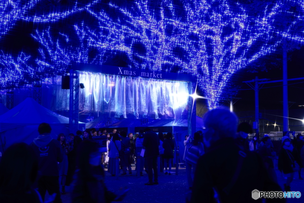 青の洞窟2023 in SHIBUYA #4