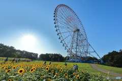 ダイヤと花の大観覧車