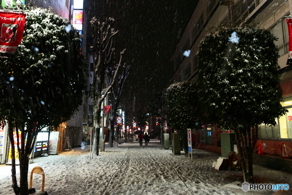 大雪警報の夜