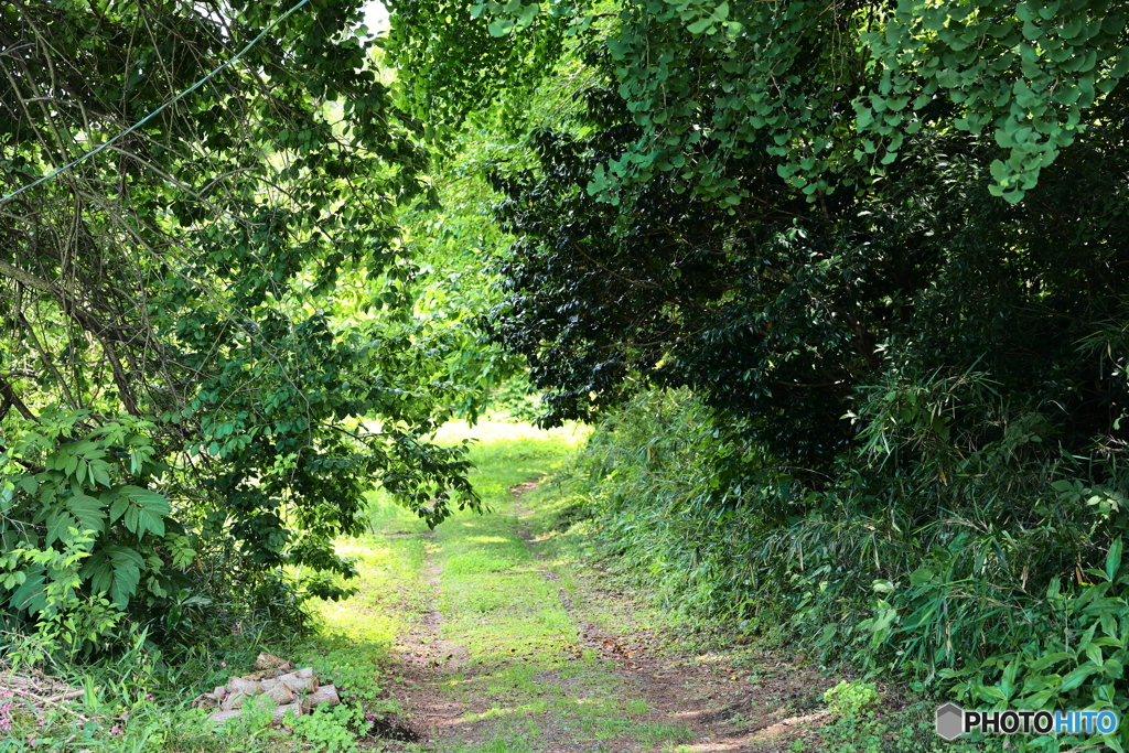 未舗装路